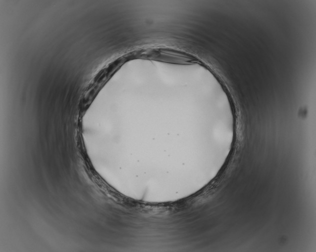 X0000115690434200912241505