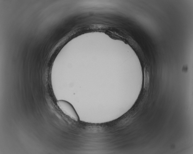 X0000115690435200912241505