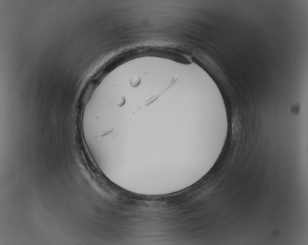 X0000115690436200912241505