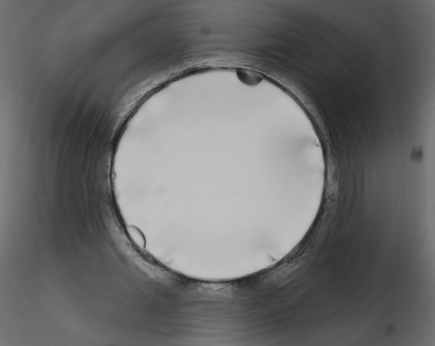 X0000115690437200912241505