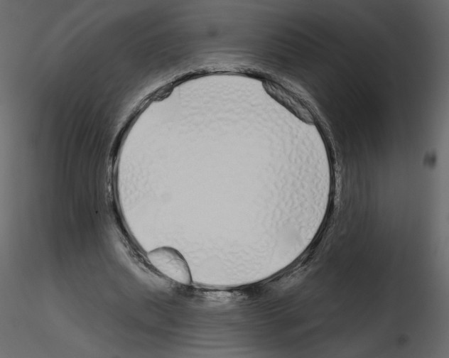 X0000115690439200912241505