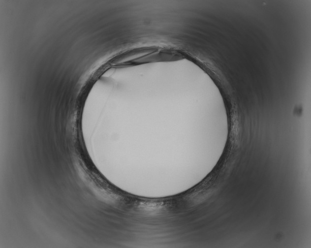 X0000115690440200912241505
