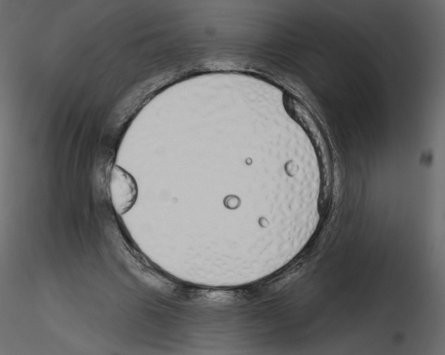 X0000115690441200912241505