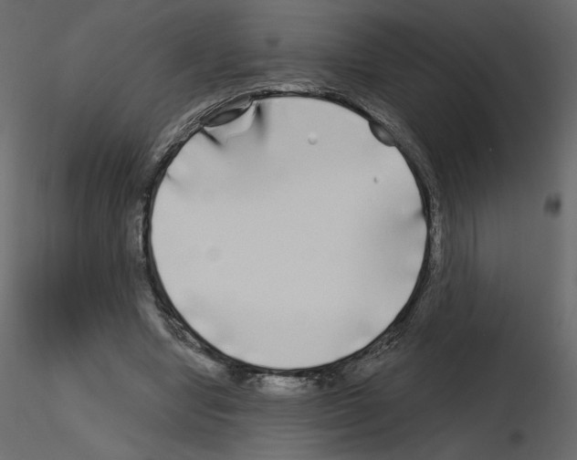 X0000115690442200912241505