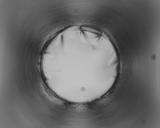 X0000115690443200912241505