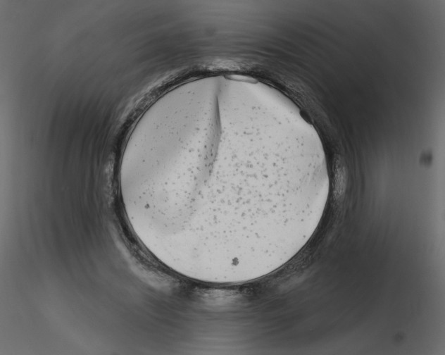 X0000115690444200912241505