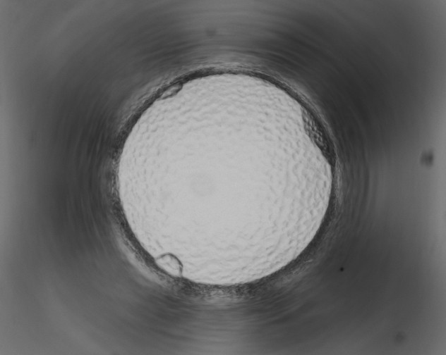 X0000115690445200912241505