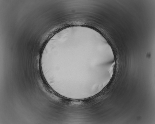 X0000115690446200912241505