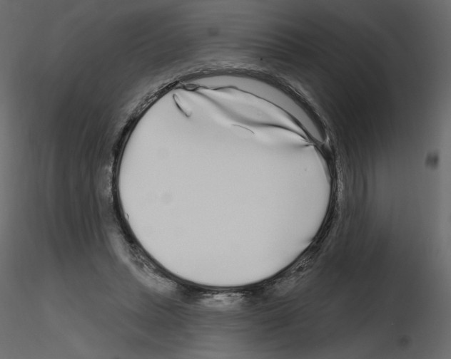 X0000115690447200912241505