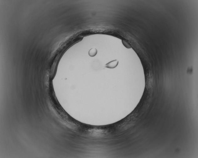 X0000115690448200912241505