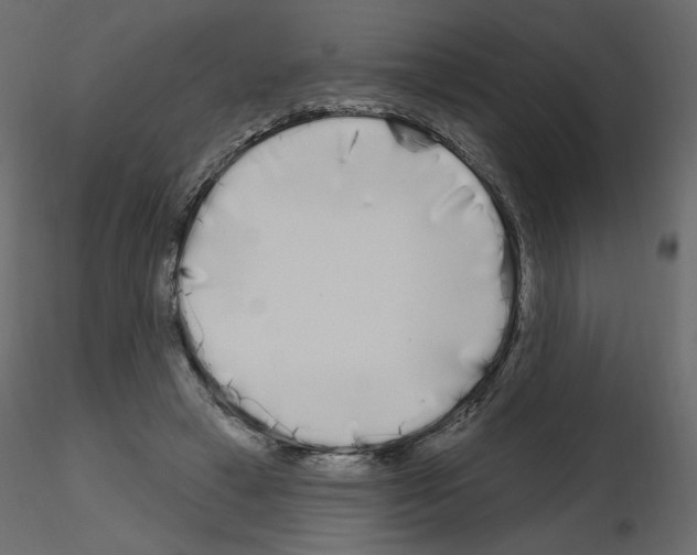 X0000115690449200912241505