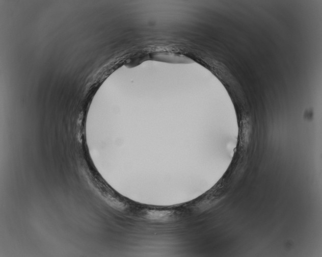 X0000115690450200912241505