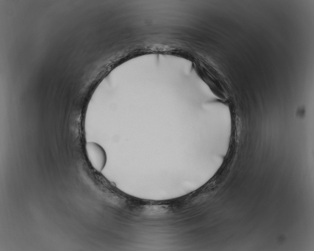 X0000115690451200912241505