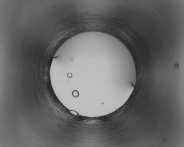 X0000115690452200912241505