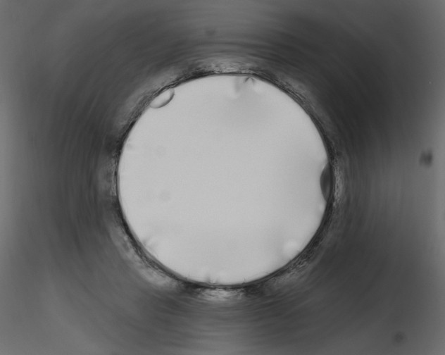 X0000115690453200912241505