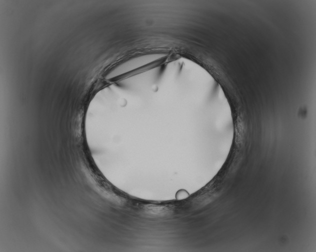 X0000115690454200912241505