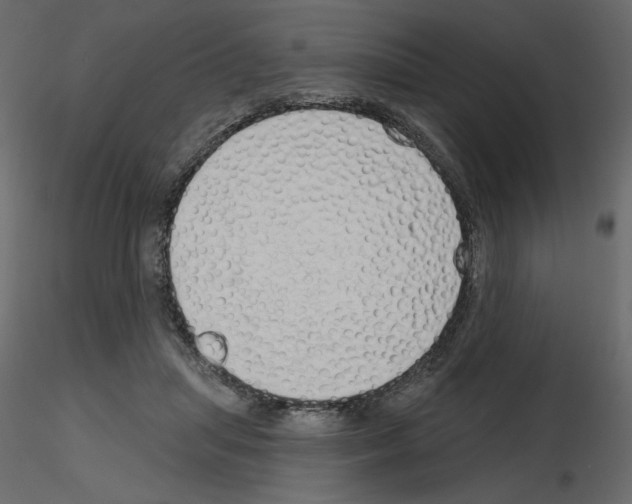 X0000115690455200912241505