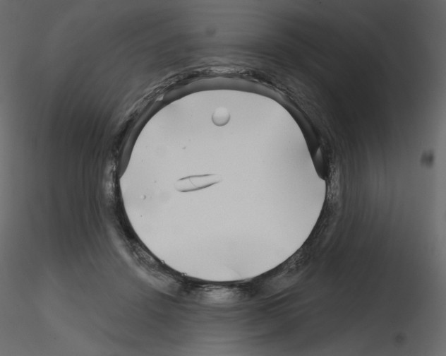 X0000115690456200912241505