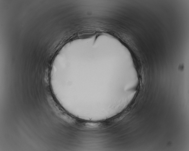 X0000115690457200912241505