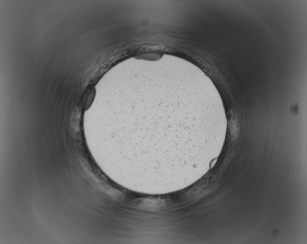 X0000115690458200912241505