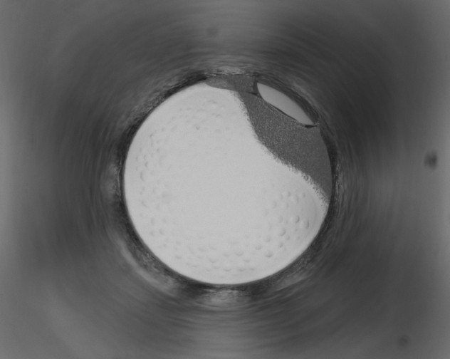 X0000115690459200912241505