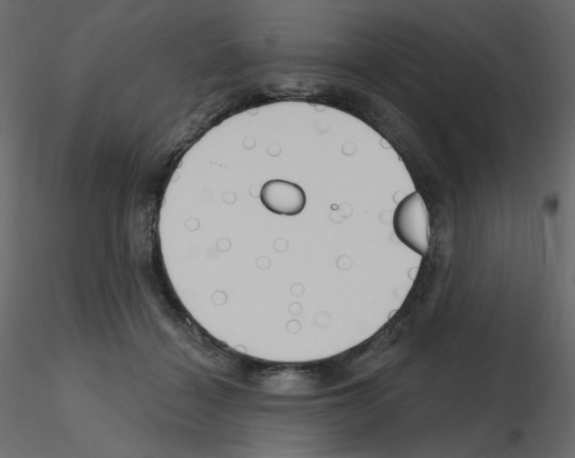 X0000115690460200912241505