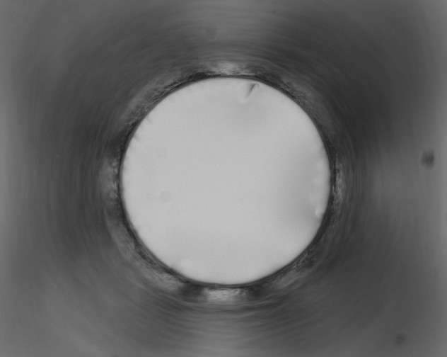 X0000115690461200912241505