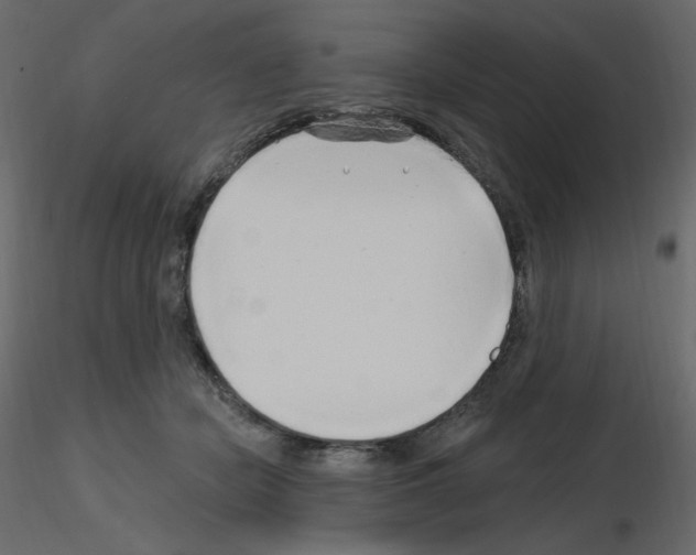 X0000115690462200912241505