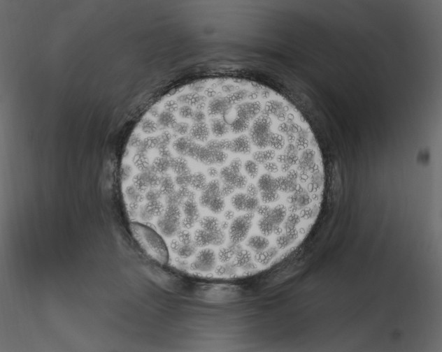 X0000115690463200912241505