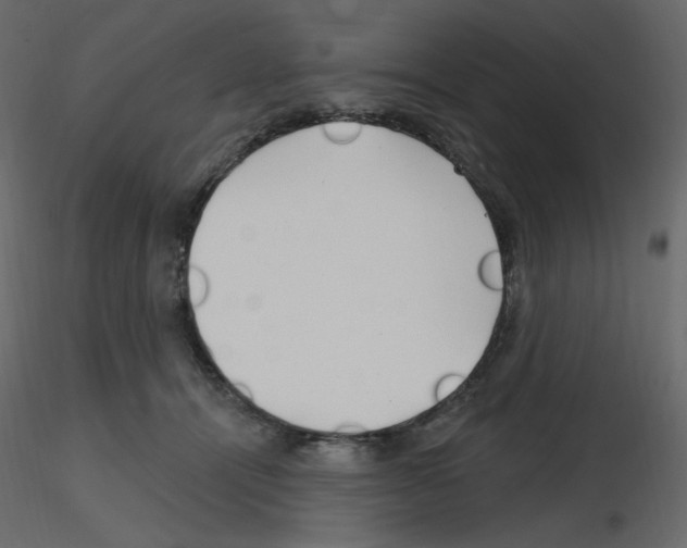 X0000115690464200912241505