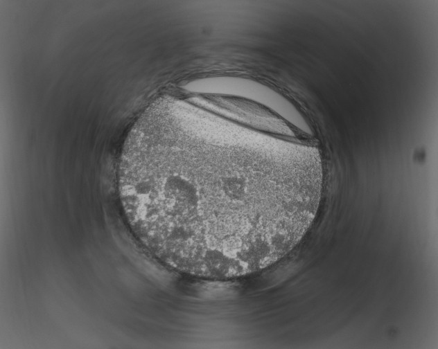 X0000115690465200912241505