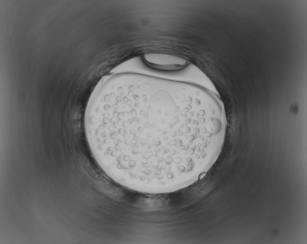 X0000115690466200912241505