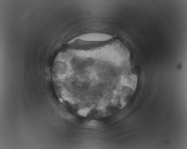 X0000115690467200912241505