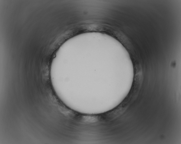 X0000115690469200912241505