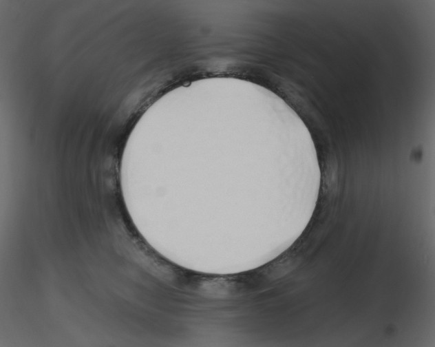 X0000115690470200912241505