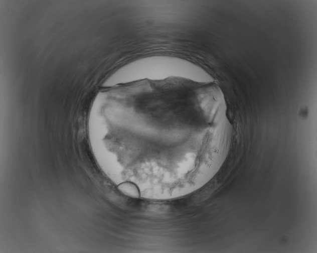 X0000115690471200912241505