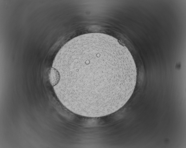 X0000115690473200912241505