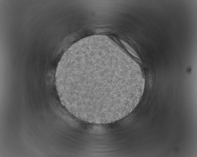 X0000115690475200912241505