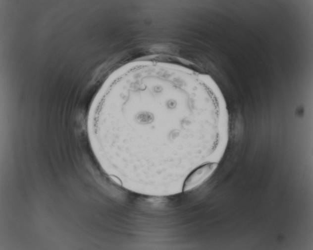 X0000115690478200912241505