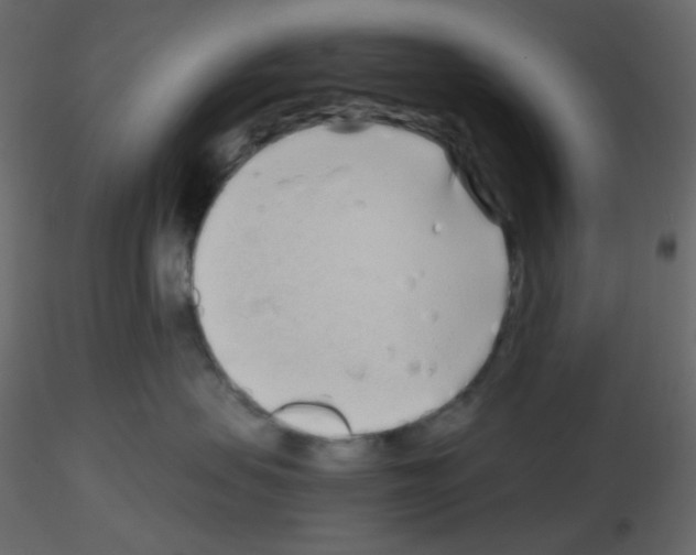 X0000115690479200912241505