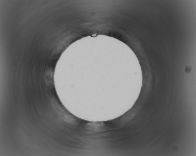 X0000115690480200912241505