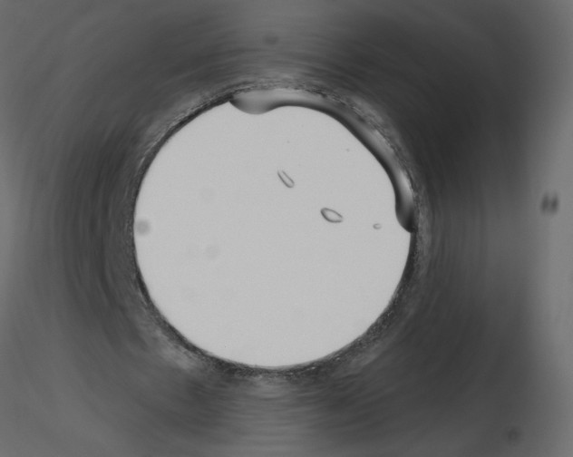 X0000115690481200912241505