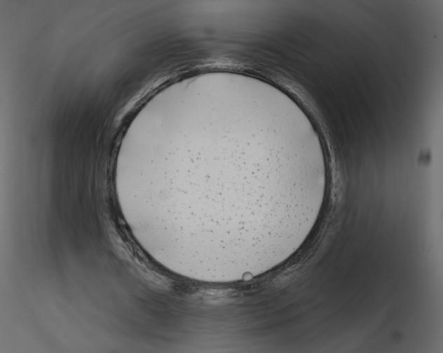 X0000115690482200912241505