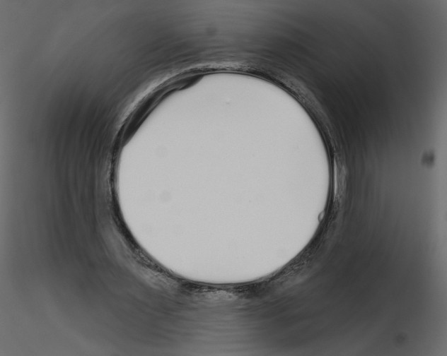 X0000115690483200912241505