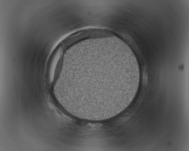 X0000115690484200912241505
