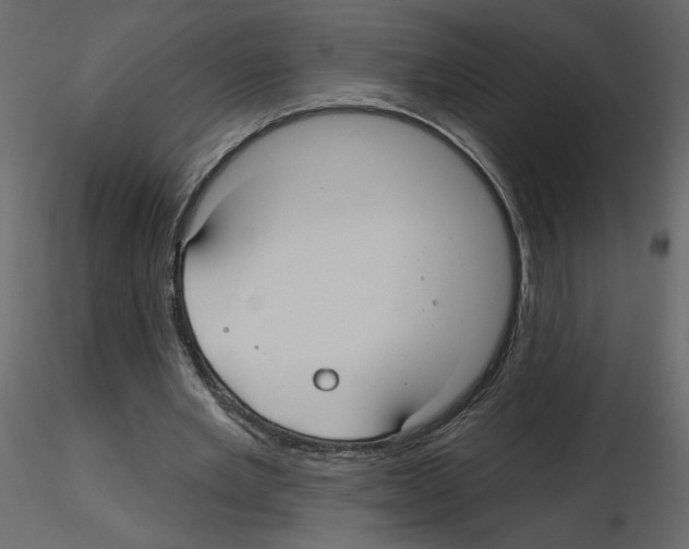 X0000115690485200912241505