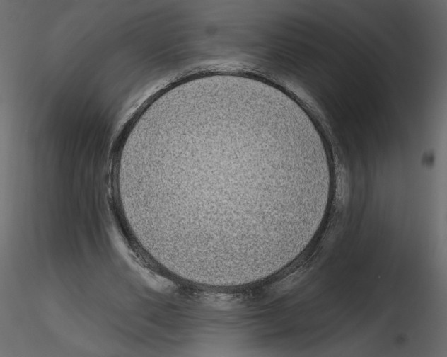 X0000115690486200912241505