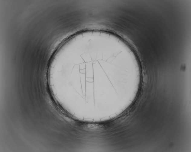 X0000115690487200912241505