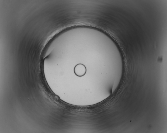X0000115690488200912241505