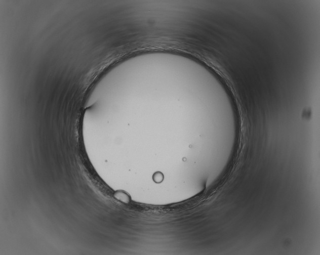 X0000115690489200912241505